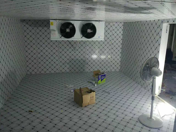 高淳区超低温冷库设计